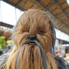 Photo de Chewbacca